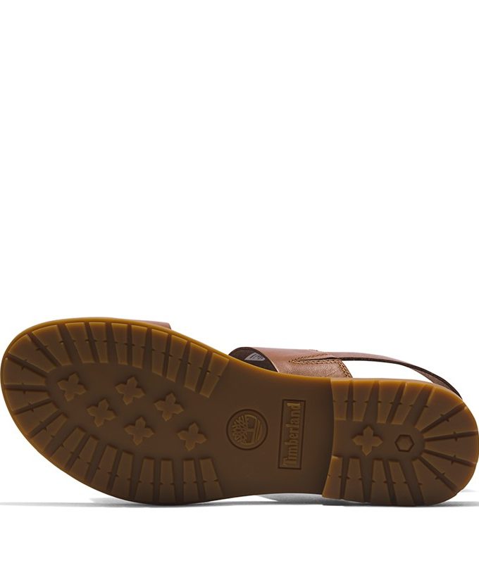 Chicago riverside 2 band