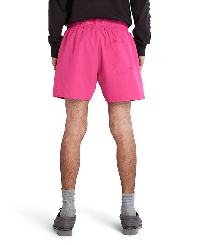 Sunapee lake solid swimshort