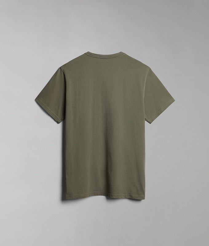 Salis ss sum green lichen