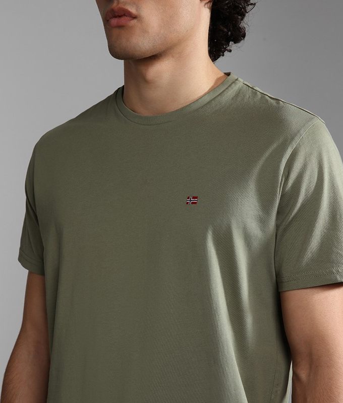 Salis ss sum green lichen