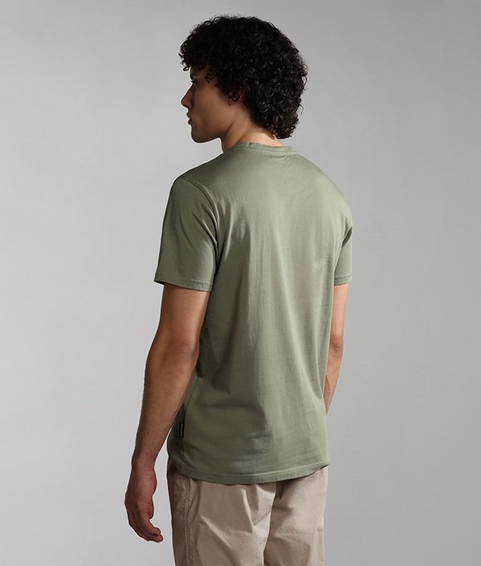 Salis ss sum green lichen